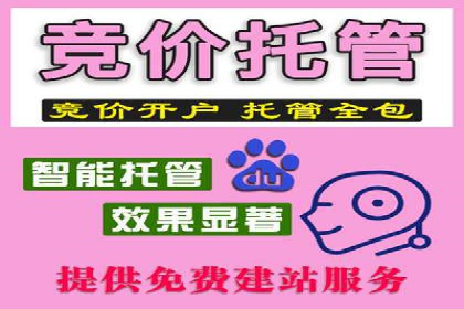 百度SEM代运营案例解析：精准锁定目标客户